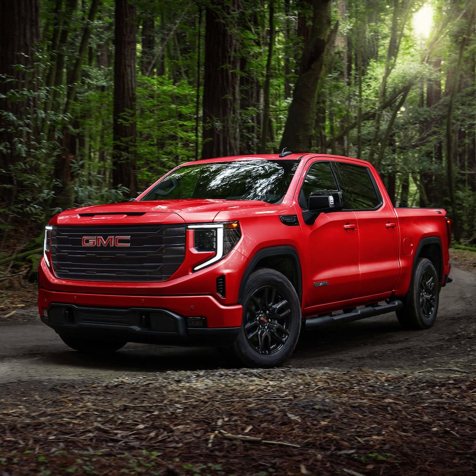 Le GMC Sierra 1500 2024 stationné près d’une forêt.