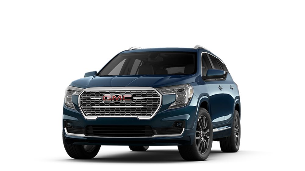 TERRAIN DENALI 2024