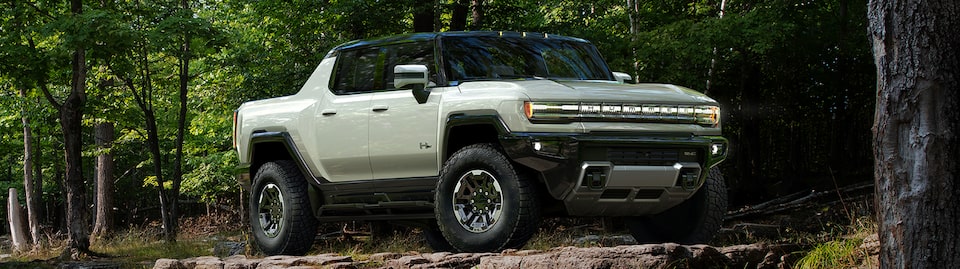 Scenic view of the GMC Hummer EV Pickup atop a small forest cliff.