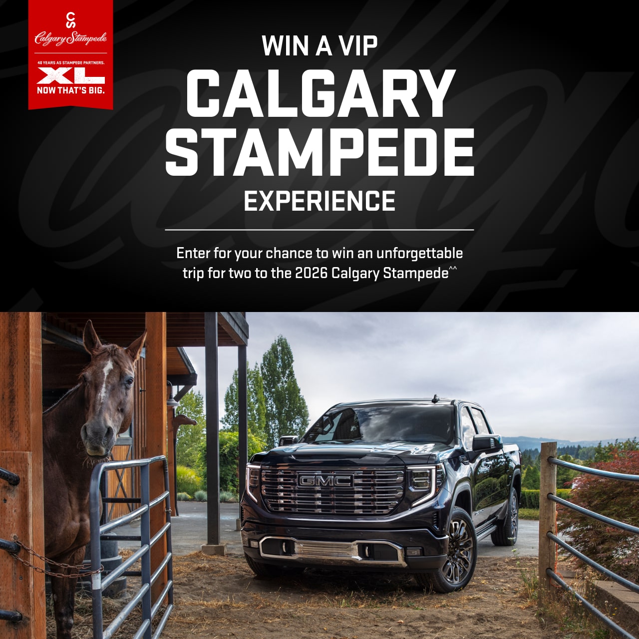 stampede