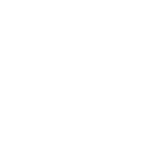Special Offers Icon.