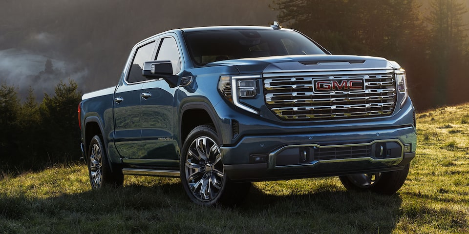 Le GMC Sierra 1500 Denali 2024 dans un pré.